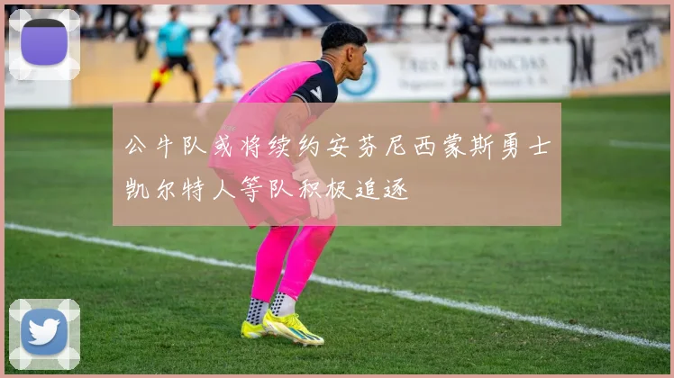公牛队或将续约安芬尼西蒙斯勇士凯尔特人等队积极追逐