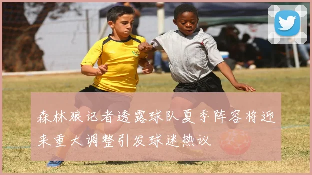 森林狼记者透露球队夏季阵容将迎来重大调整引发球迷热议