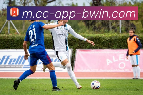 Bwin体育APP 体育赛事宣传图